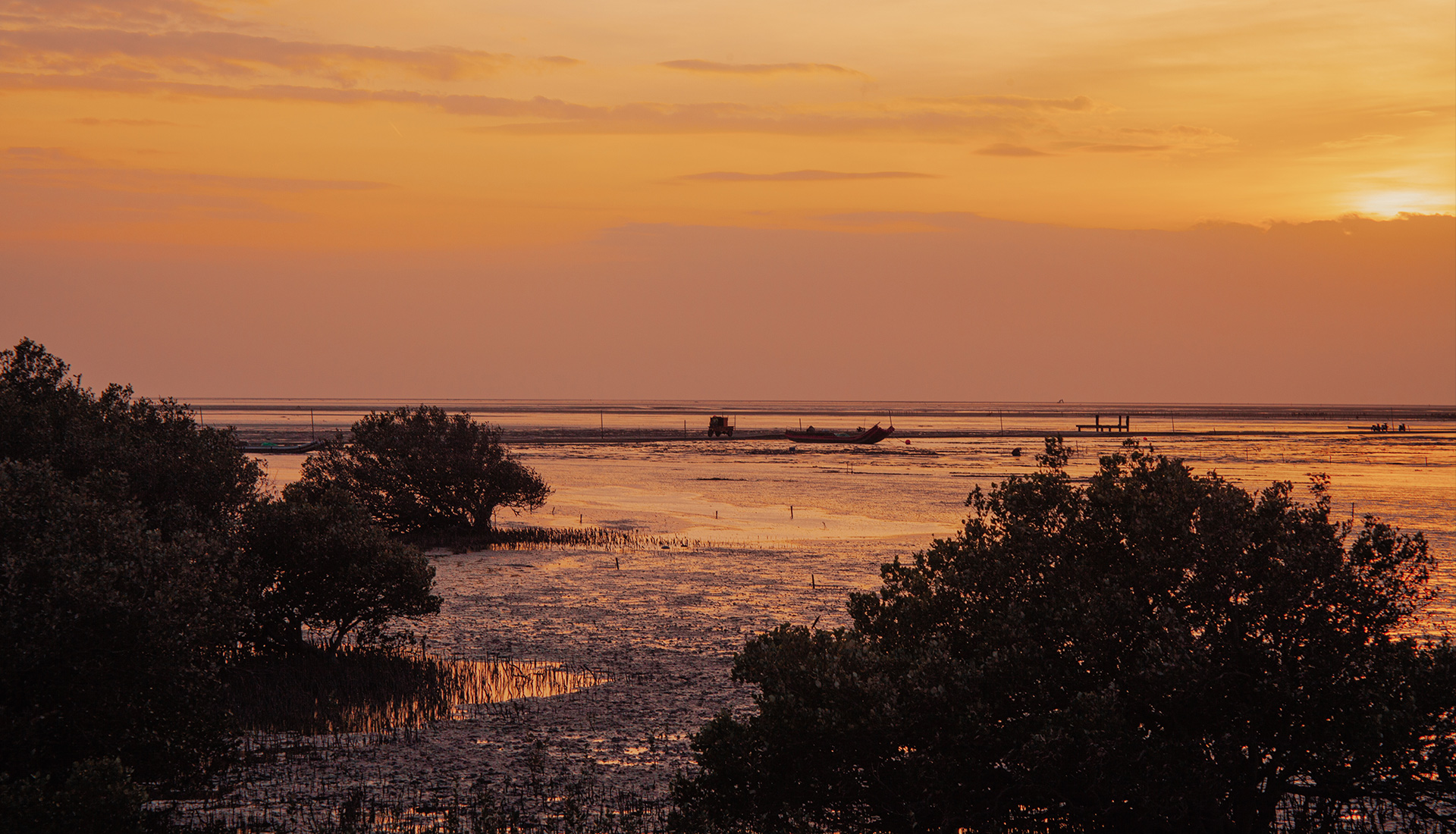 二林芳苑天空步道 | 夕陽 | 歸途