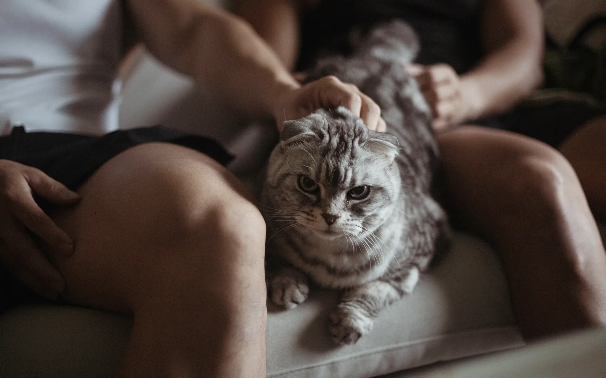 Josh & Roy 情侶親密寫真 | 台中 | 同志情侶 | 宇宙拿鐵 