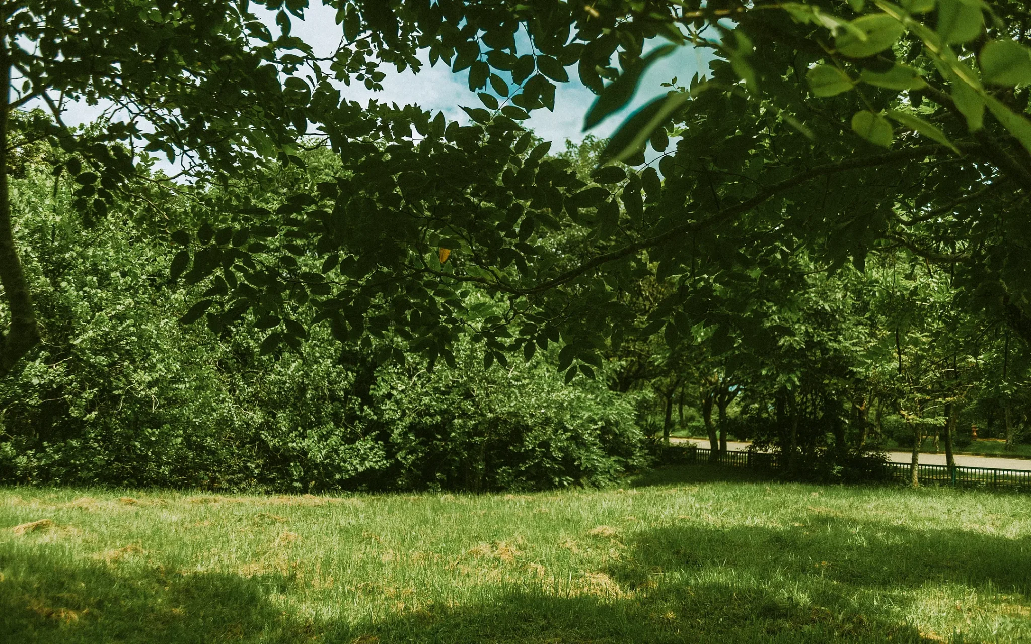 戶外的輕爽氣息 | 台中 | 都會公園 | 男性寫真 | 宇宙拿鐵 