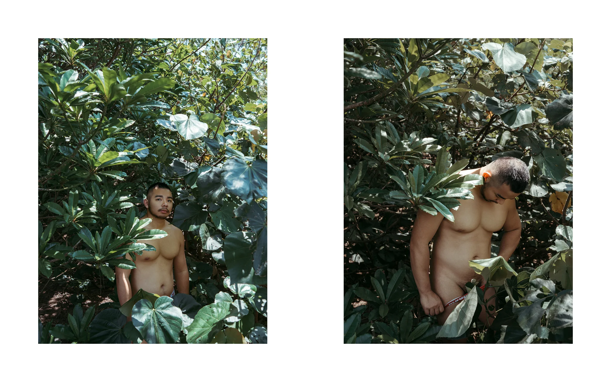 男性人體藝術攝影|Chrome 異色 — 龍紉 淡水樹林深處近景 宇宙拿鐵 Lattefotos 男性人體藝術攝影:龍紉 @dragonrax93 於新北淡水沙崙樹林深處,自然光近景,Chrome 異色組圖